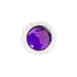 10379 CR. PL. 33MMX-4"H Screw-On Bullet Flat CVR W/Purple Jewel - General Diesel Repair & Chrome